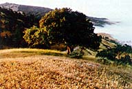 Breakfast in the Field